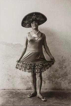 Magnolia with a Sombrero
