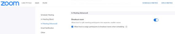 Zoom screenshot showing breakout room settings