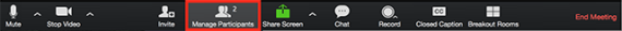 Zoom screenshot showing manage participants