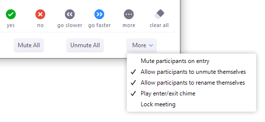 Zoom screenshot showing mute all and other options