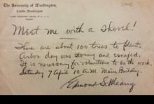 Letter from Edmond Meany calling to plant 100 trees