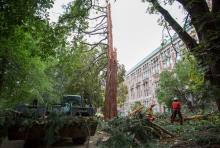 UW Facilities crew removing debris from lightning struck tree