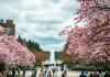 UW graduate and professional disciplines have strong showing on US Newsâ Best Graduate Schools rankings